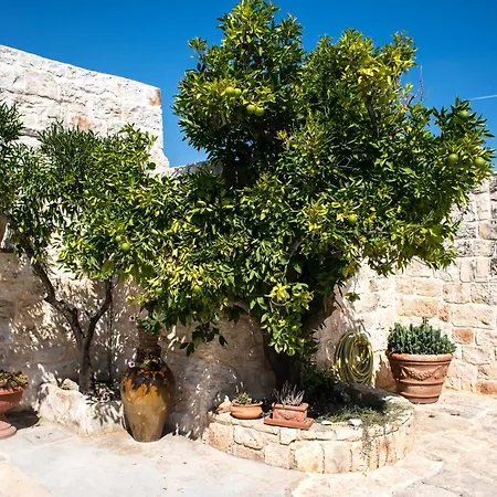 بيت للعطل Masseria Oreglia سيغلي ميسابيكا