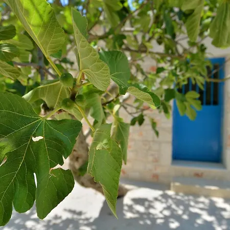 Masseria Oreglia Holiday home Ceglie Messapica