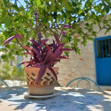 Holiday home Masseria Oreglia